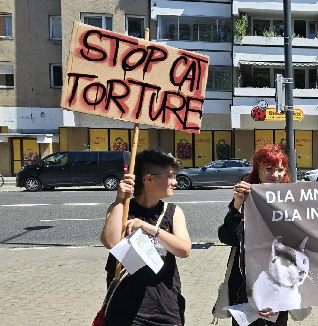 Advocates at a public protest holding a Stop Cat Torture sign