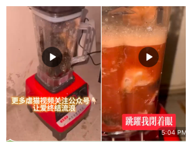 Two distressing video thumbnails shown in the supplied group-chat screenshot; still images, not playable footage.