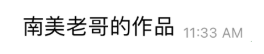 Original Chinese message referring to a South American participant’s work, timestamped 11:33 AM.