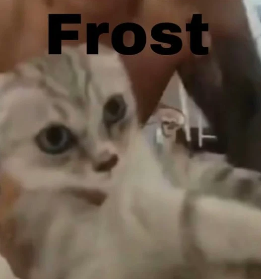 Frost