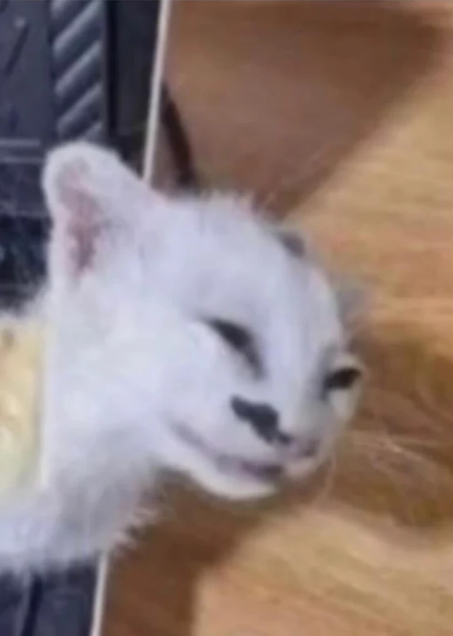 Mel