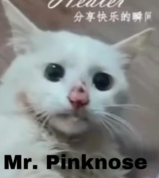 Mr. Pinknose
