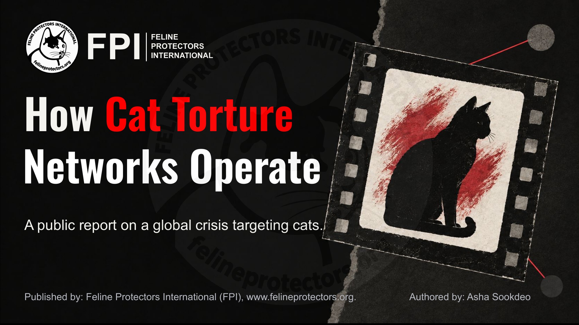 How Cat Torture Networks Operate report cover